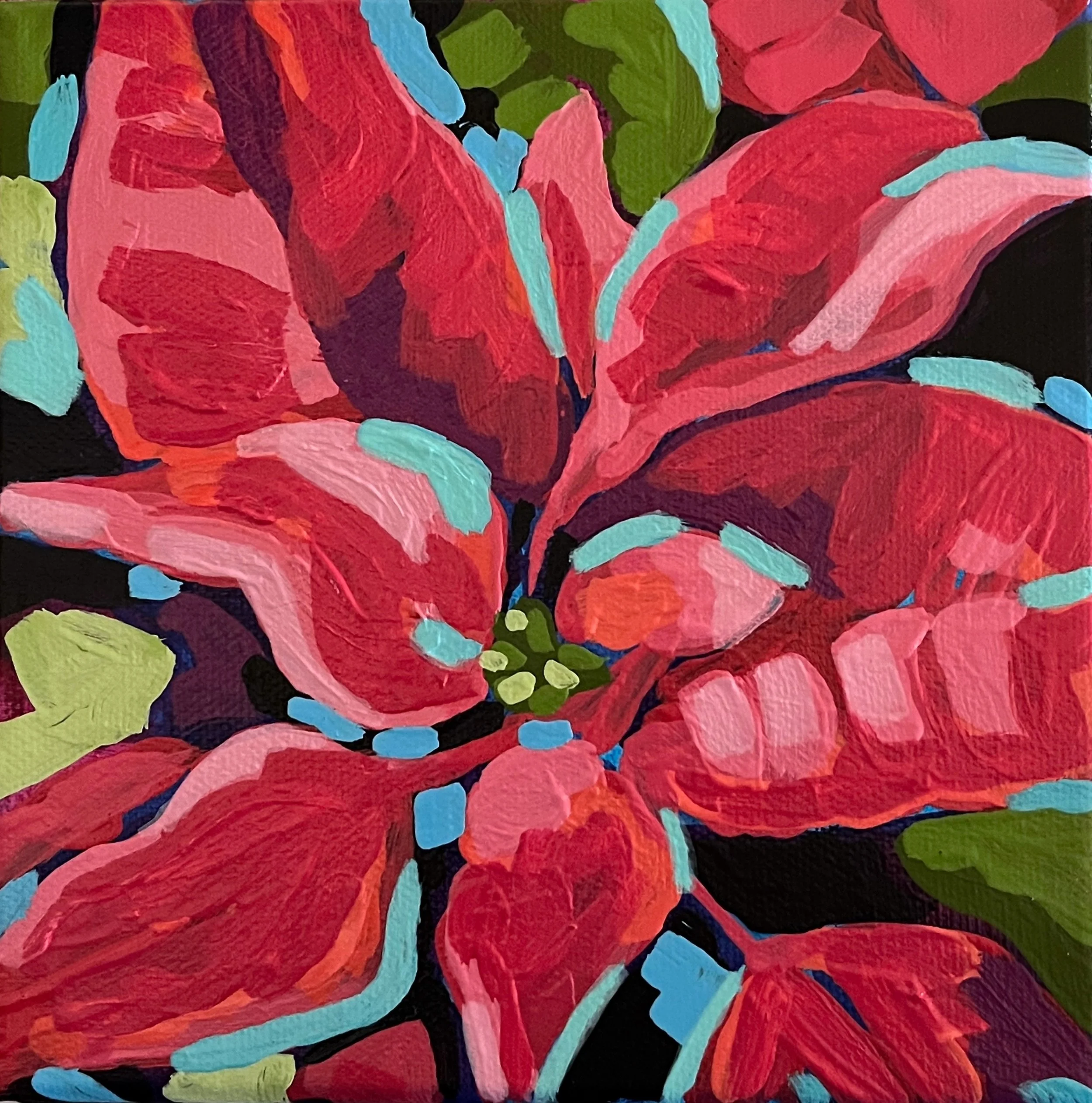 Red Poinsettia