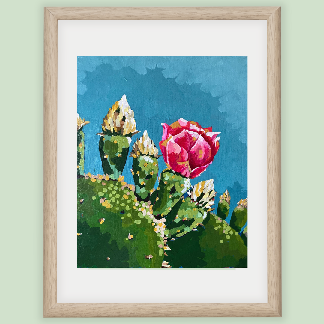 Pink Prickly Pear