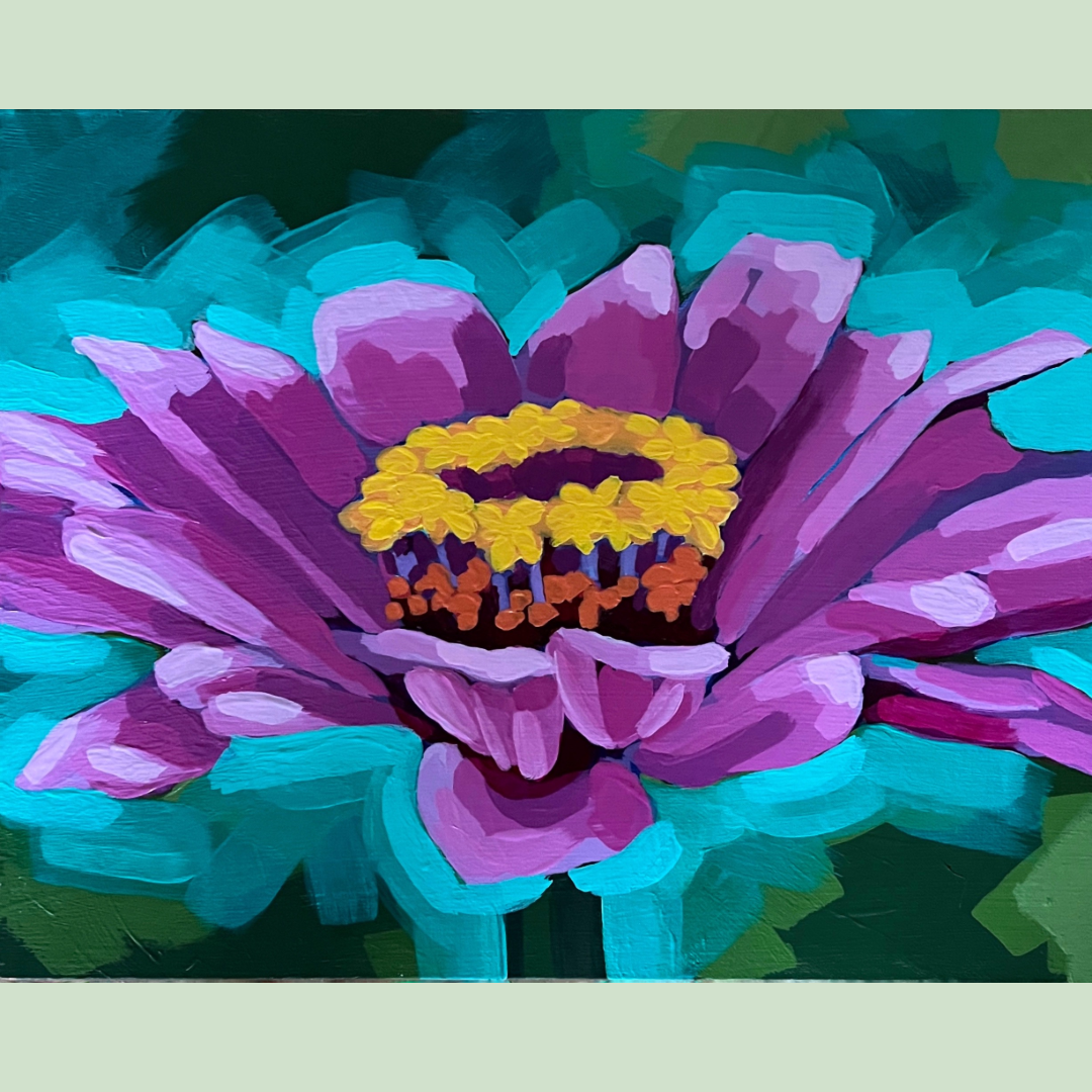 Zinnia