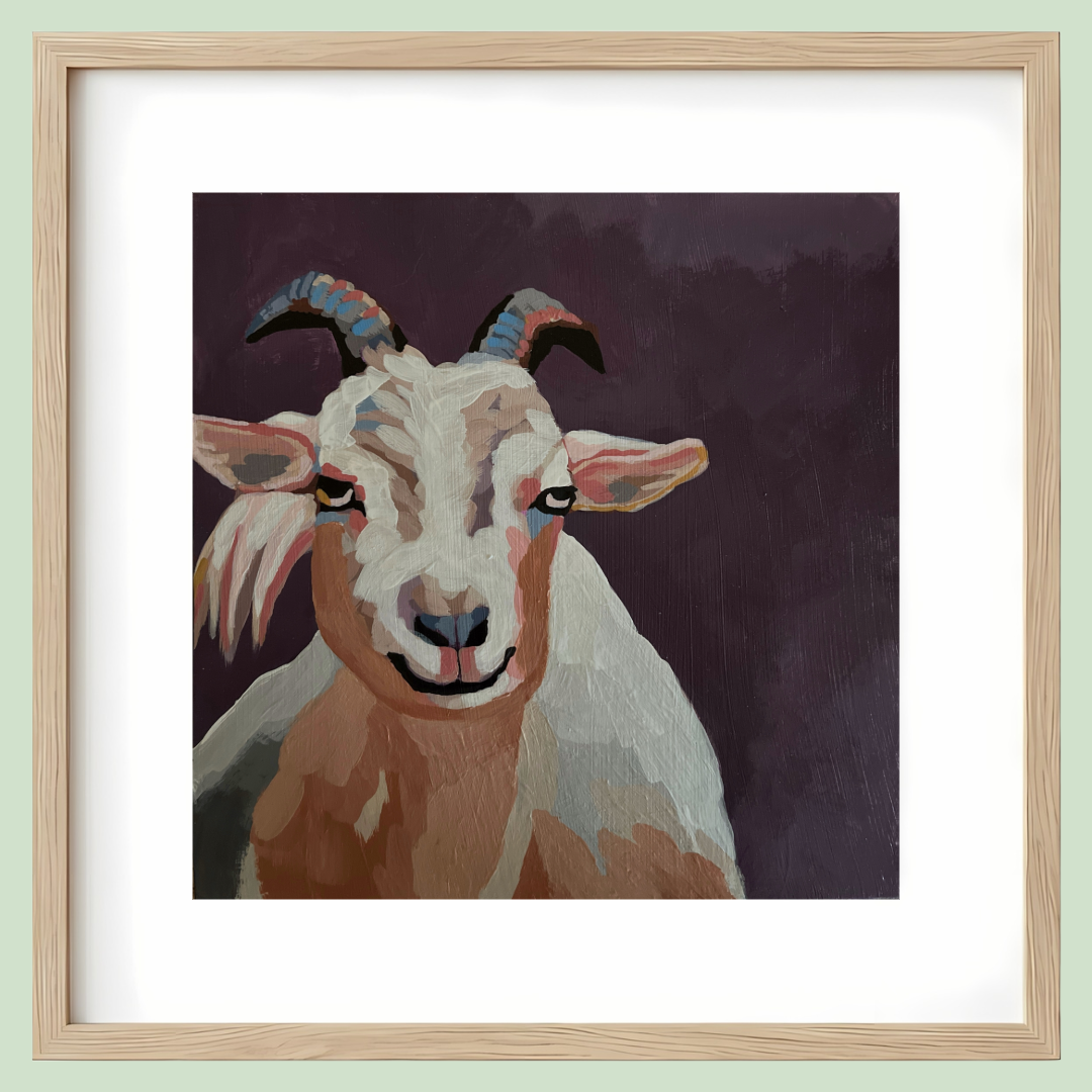 White Goat