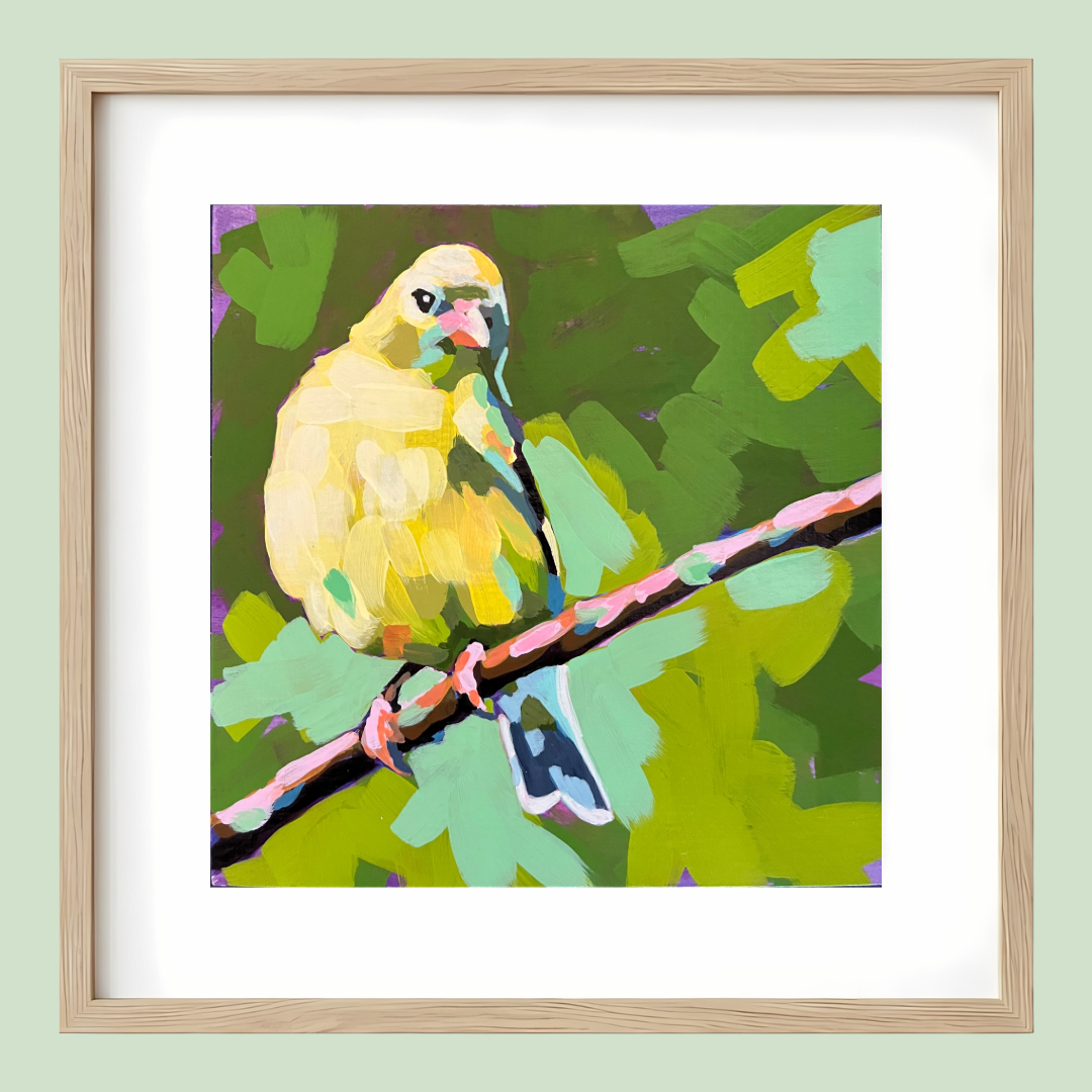 Gold Finch