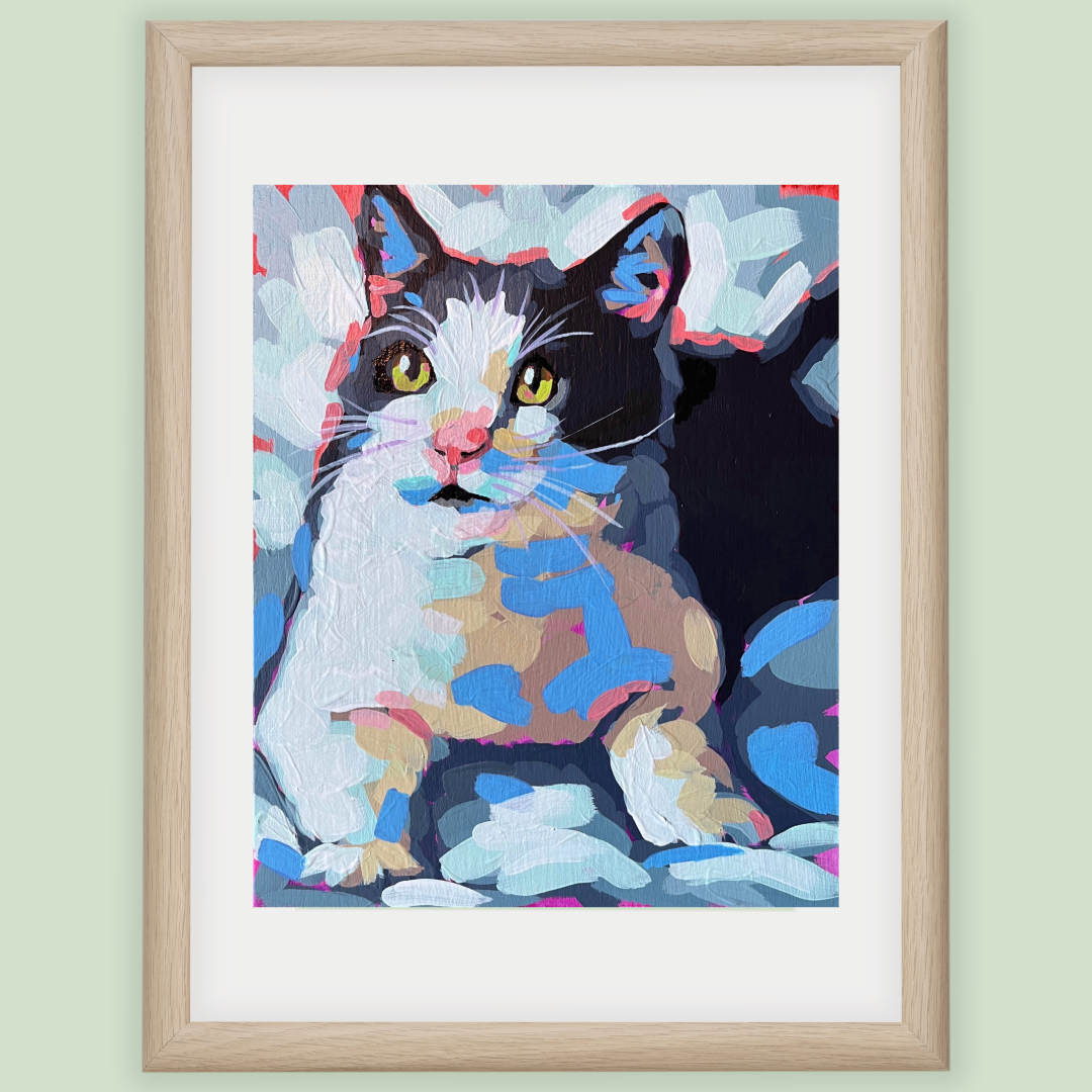 Tuxedo Cat