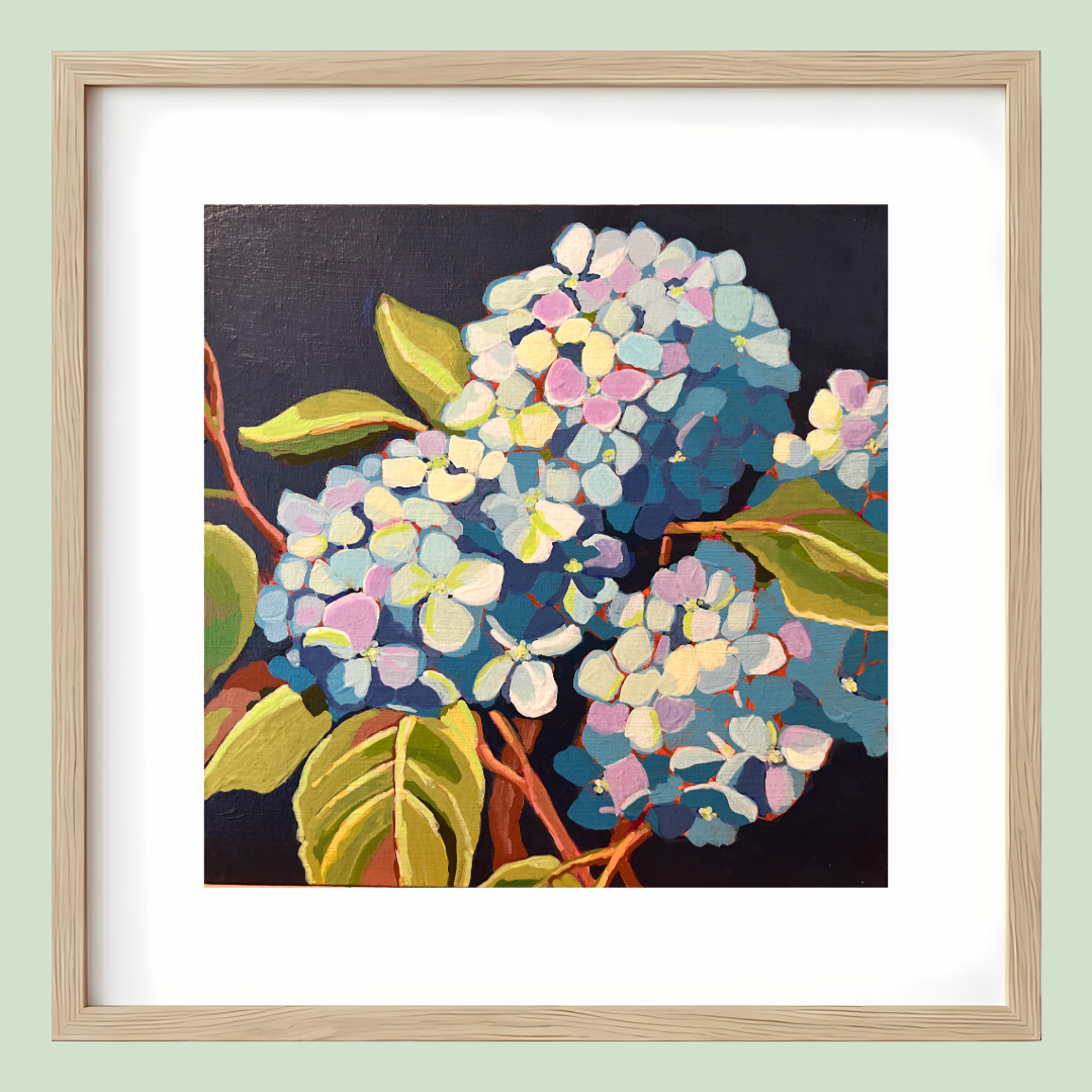 Hydrangeas