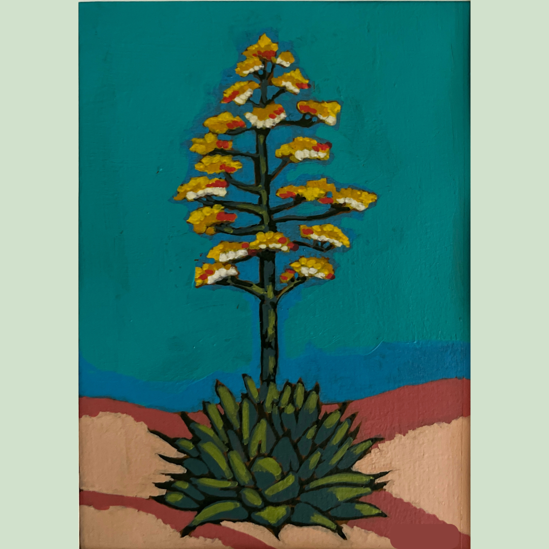 Century Plant in Bloom