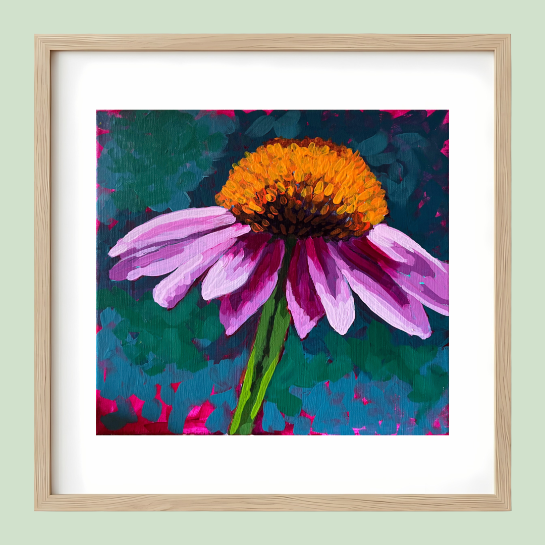 Cone Flower