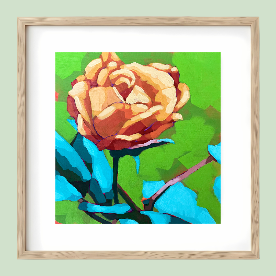 Orange Rose