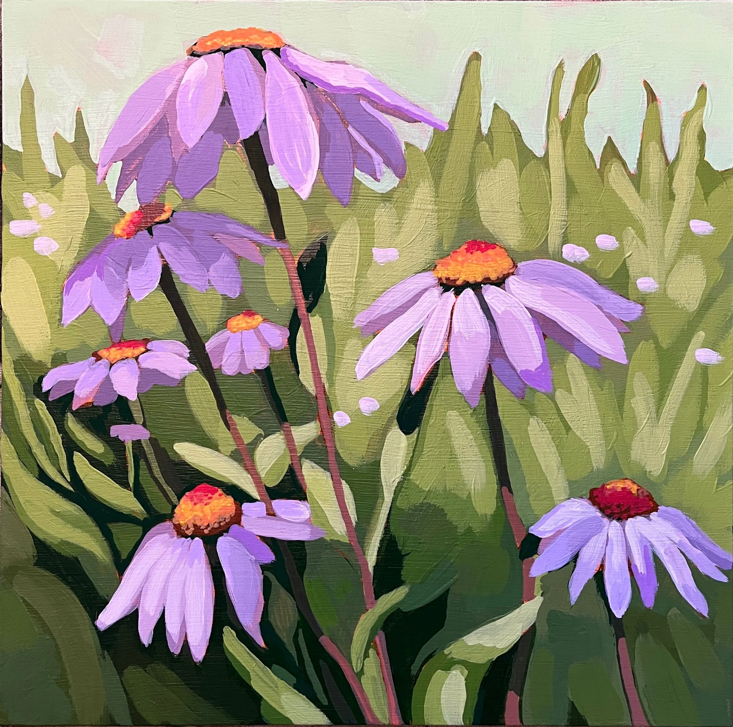 Purple Cone Flowers