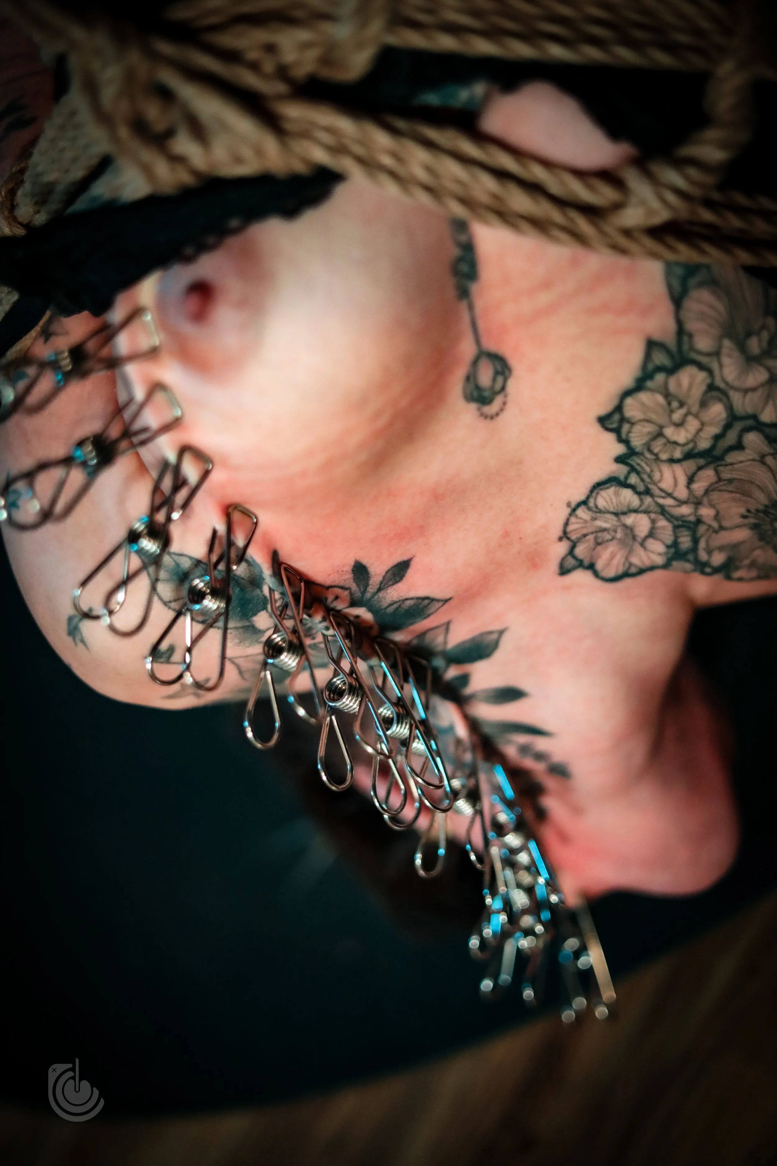 0G4A8271.jpg