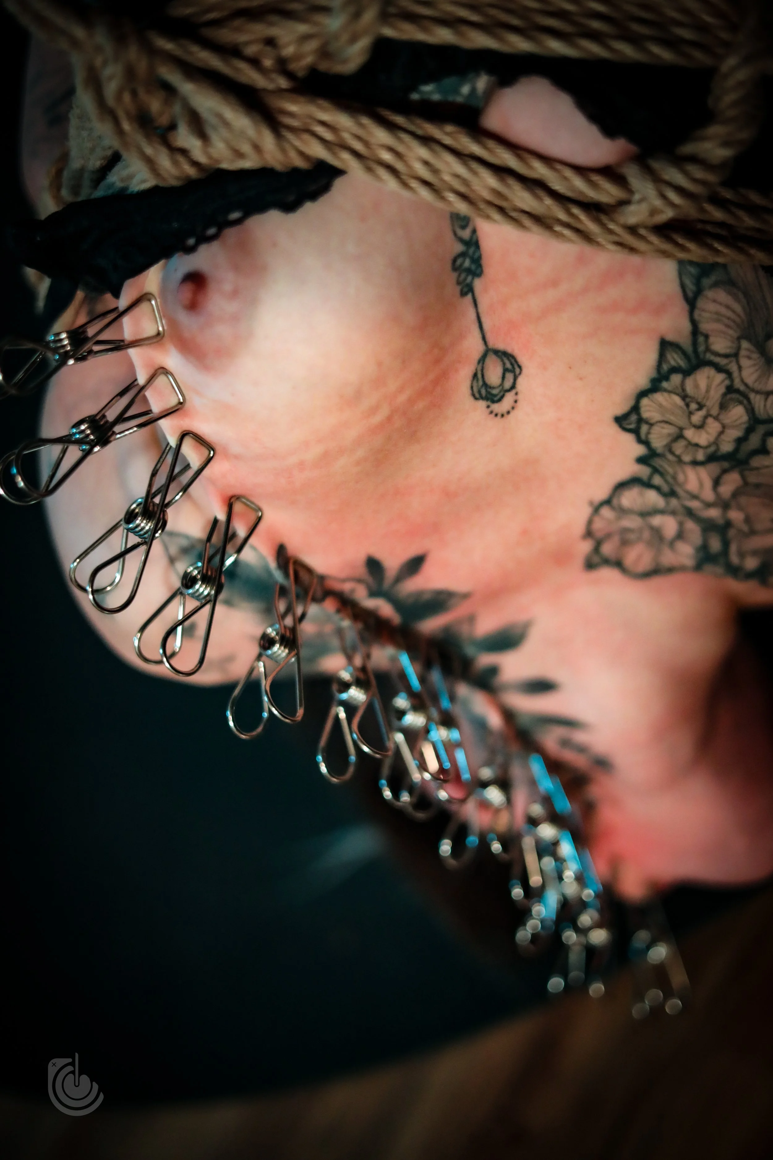 0G4A8273.jpg
