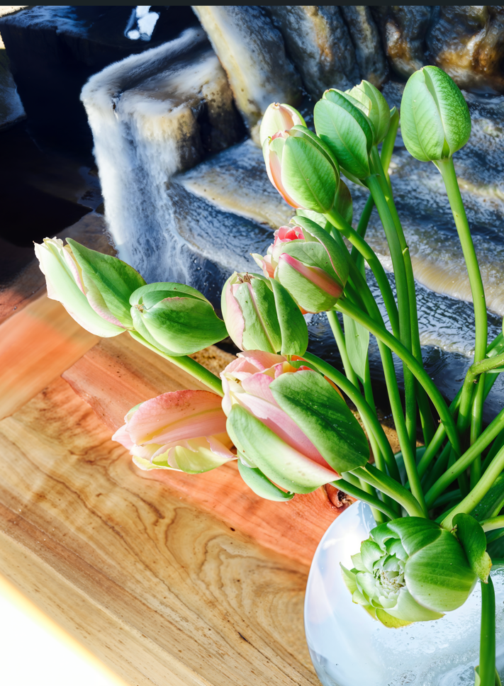 Screenshot 2026-03-13 151336.png