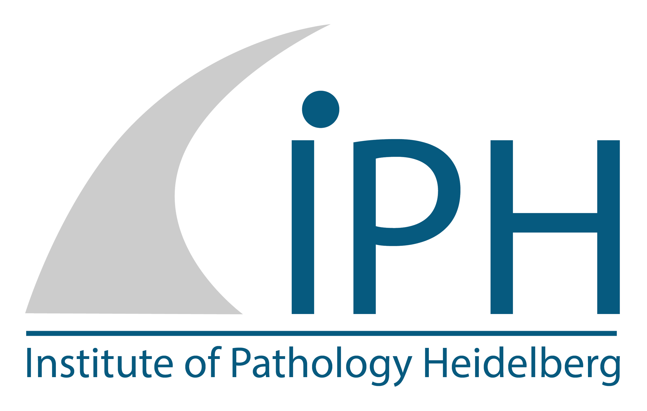 image of the Institute of Pathology Heidelberg logo