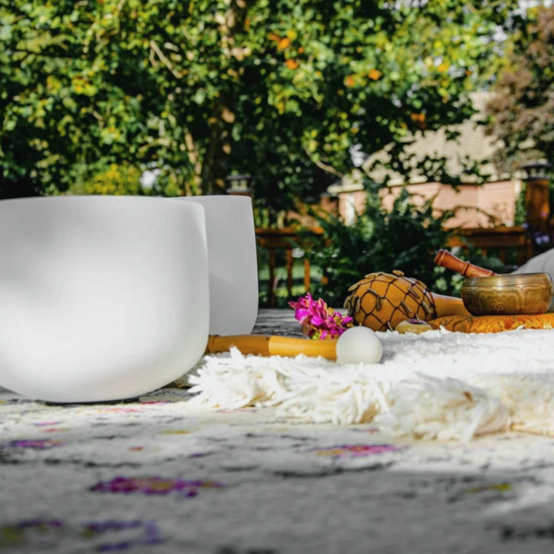 Living in Alignment — Half Day Wellness Retreat