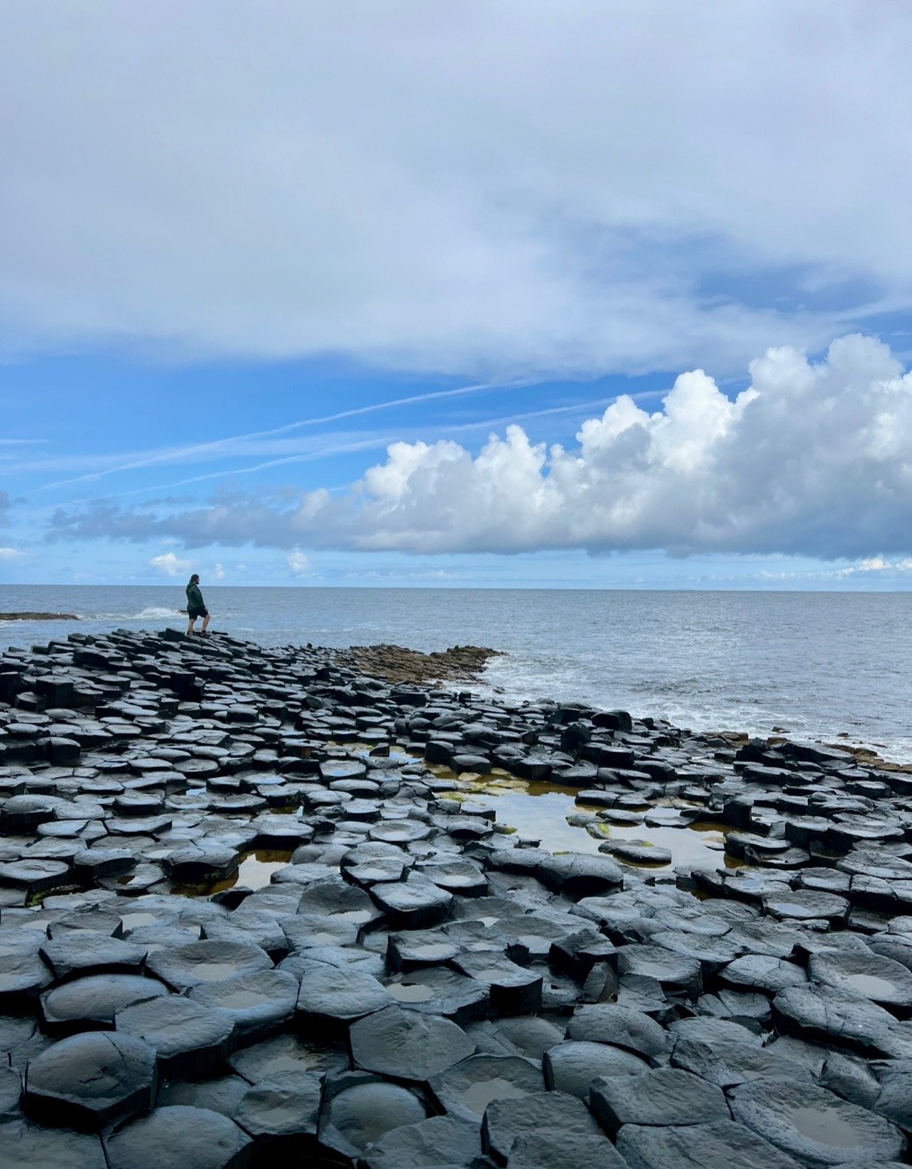 Strong on Plants: Essentials for Endurance, Energy, &amp; Strength