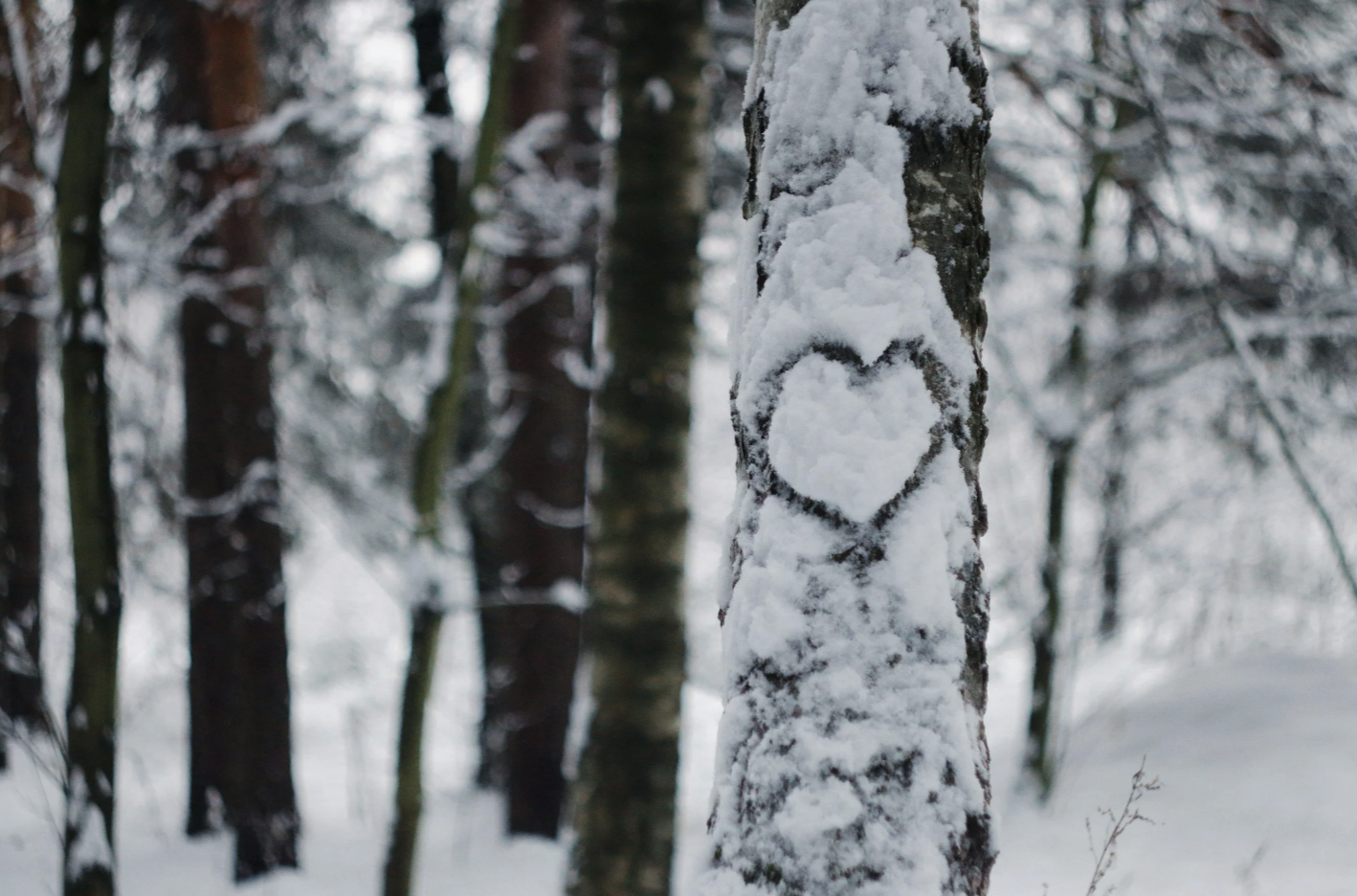 Heart-Centered Healing