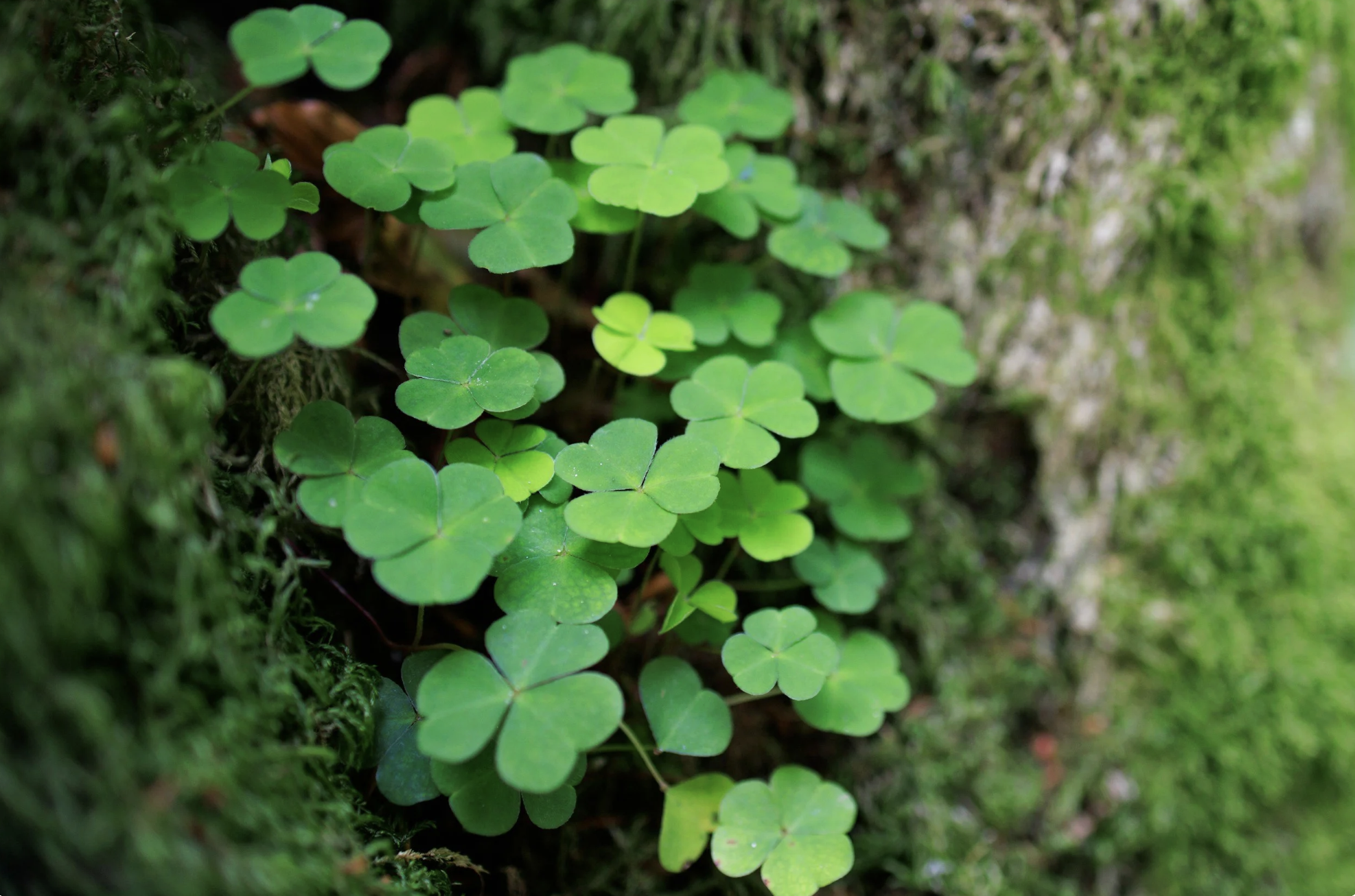 Creating Our Own Luck