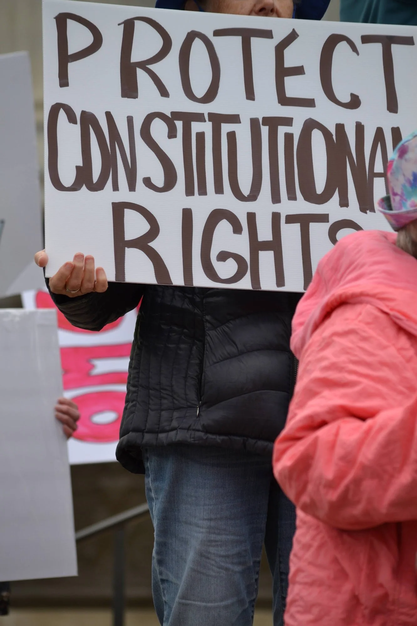 Person holding a sign that reads 'Protect Constitutional Rights' during a protest.