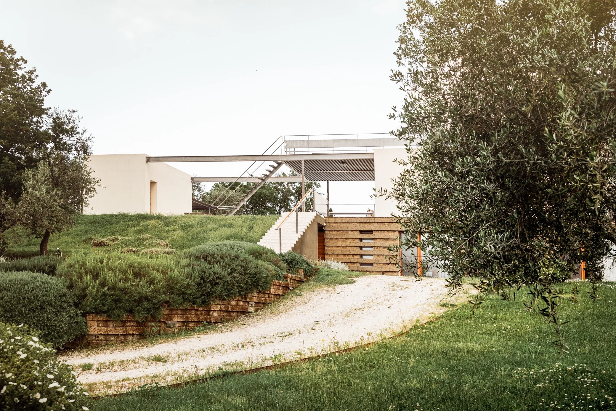 Modern white villa with pool set in the middle of an Italian olive grove in Tuscany