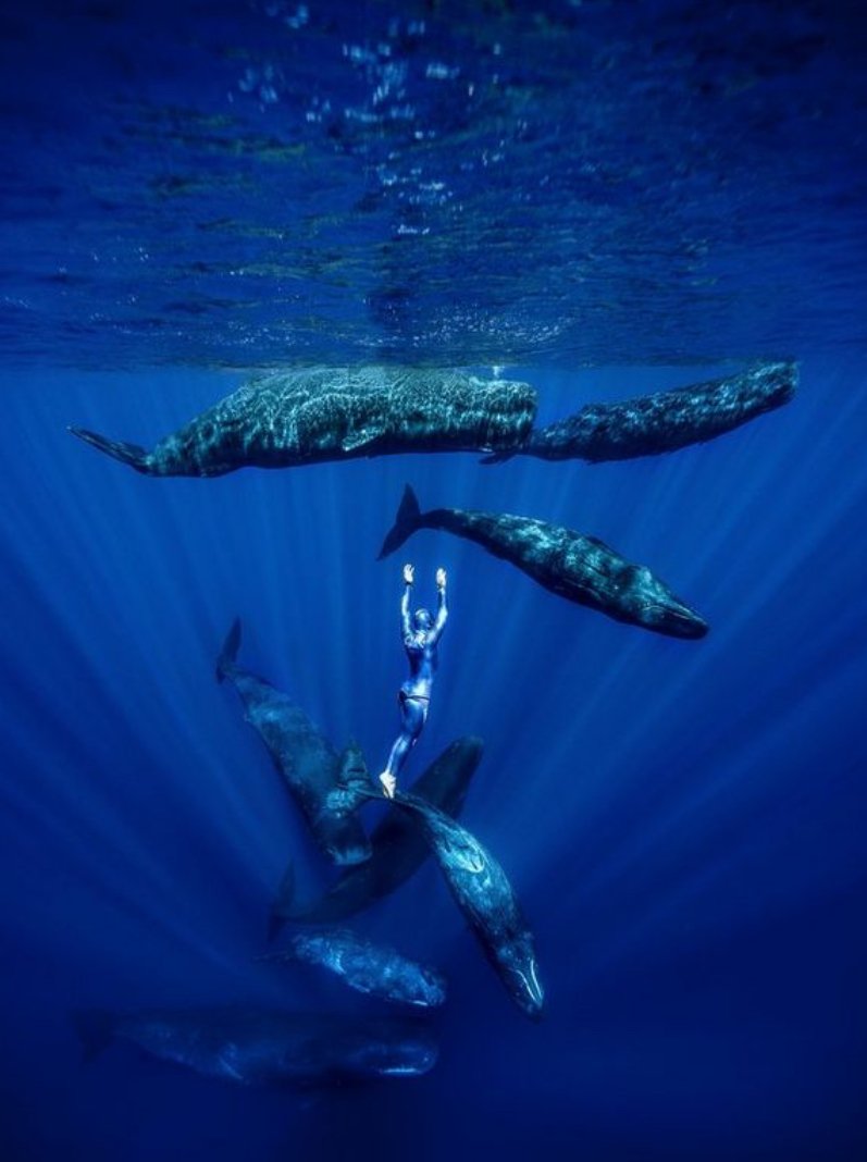 Meeting the whales - Sri Lanka w/ Žan Perko &amp; Angelina Borisova