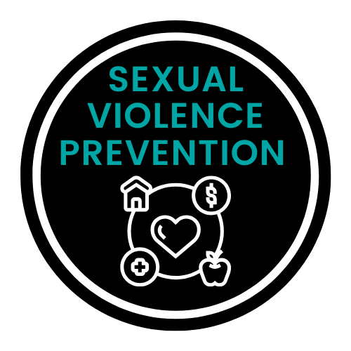 Sexual Violence Prevention Work Group Meeting