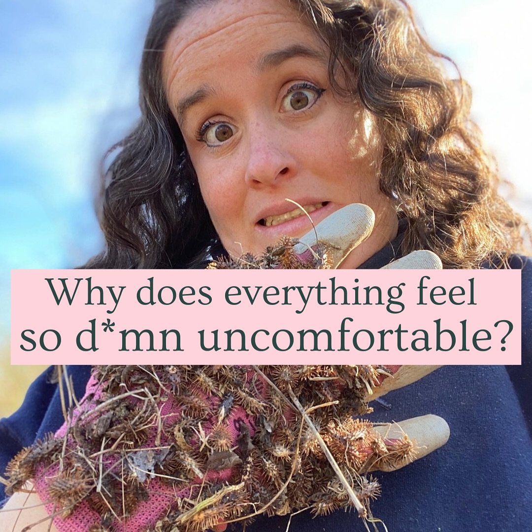 😫 Ever feel like you&rsquo;re carrying invisible thorns, and you can&rsquo;t quite figure out why everything feels SO uncomfortable?

One of my kids said something about getting support for his mental health that really stuck with me:

He described 