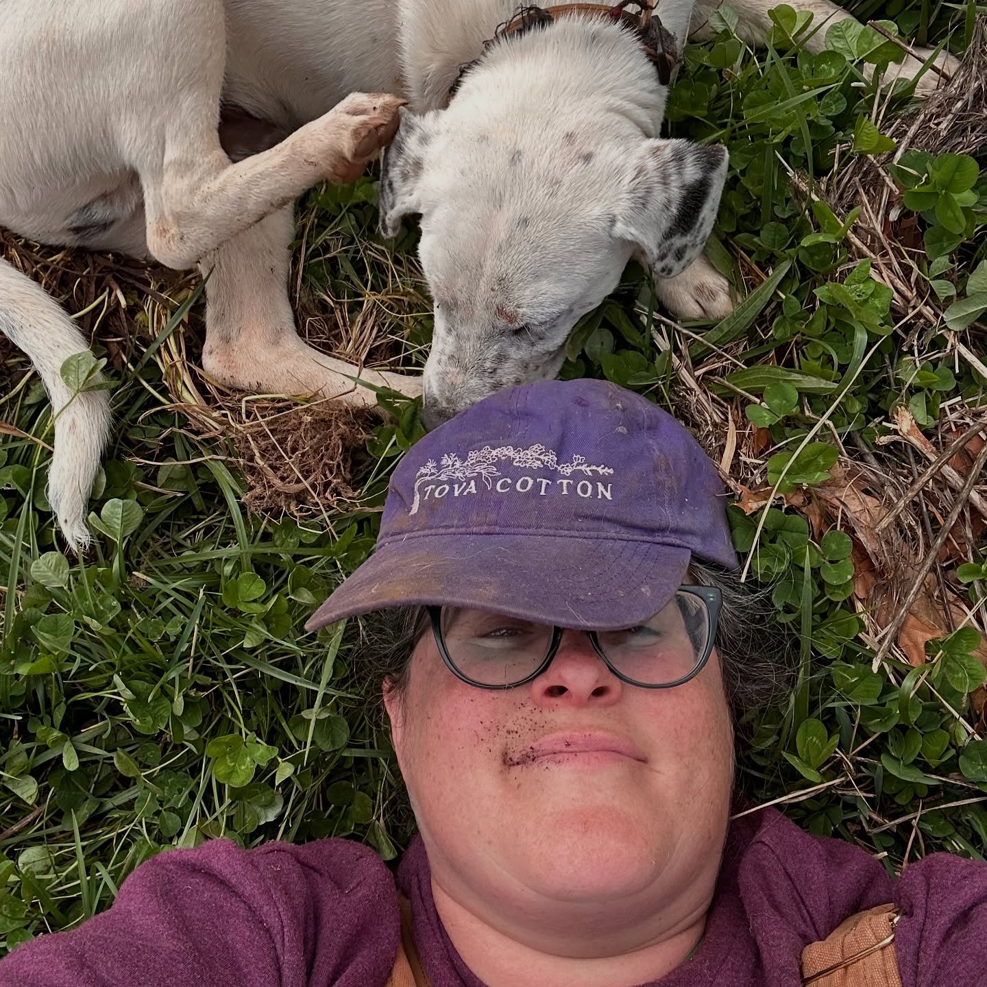 Somewhere along the way, my brain got the message that shame = accountability.

Like&hellip; if I don&rsquo;t feel bad enough about something I did (or didn&rsquo;t do), I won&rsquo;t change.

Or if I don&rsquo;t make someone feel bad when they mess 