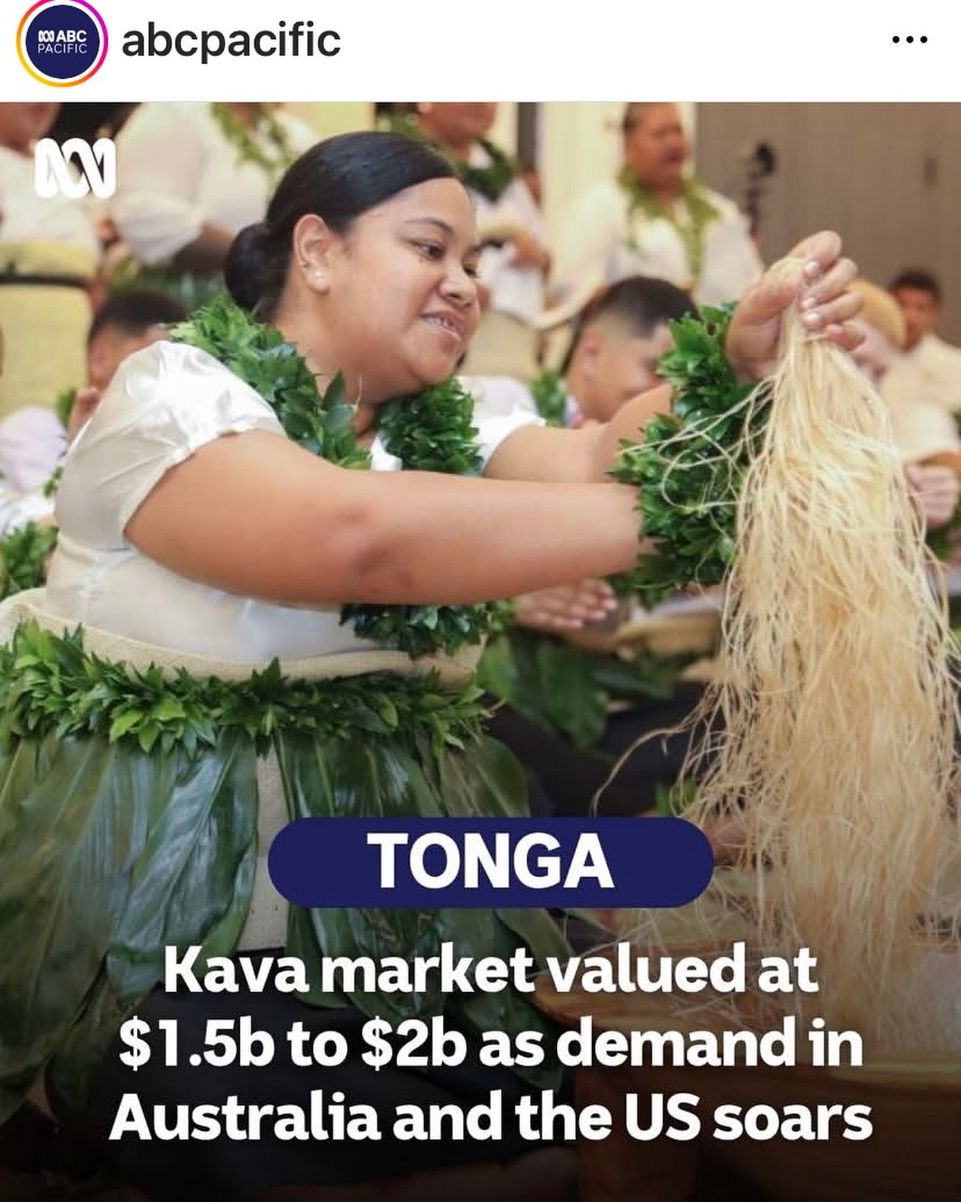 Thank you @abcpacific ☕️ like i mentioned months ago about the KAVA market📈 this is our 🌱 Industry😎 TONGA🇹🇴&amp; FIJI🇫🇯 the 2 South Pacific Islands are homes to the biggest KAVA FARMER Producers🌎  @kavalifefarm @kavalifefarmintl will keep📈🌱