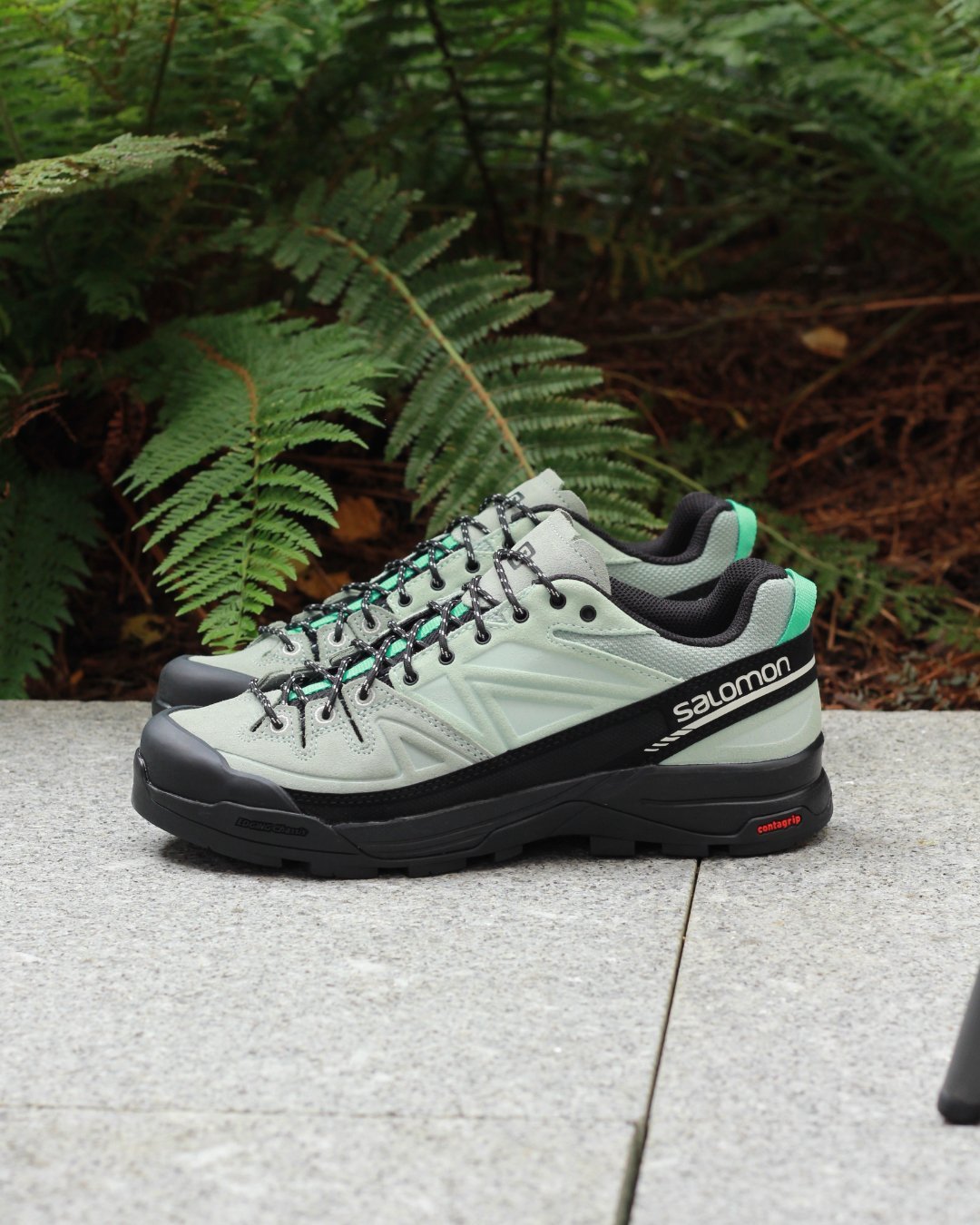 Salomon_1+(1).jpg