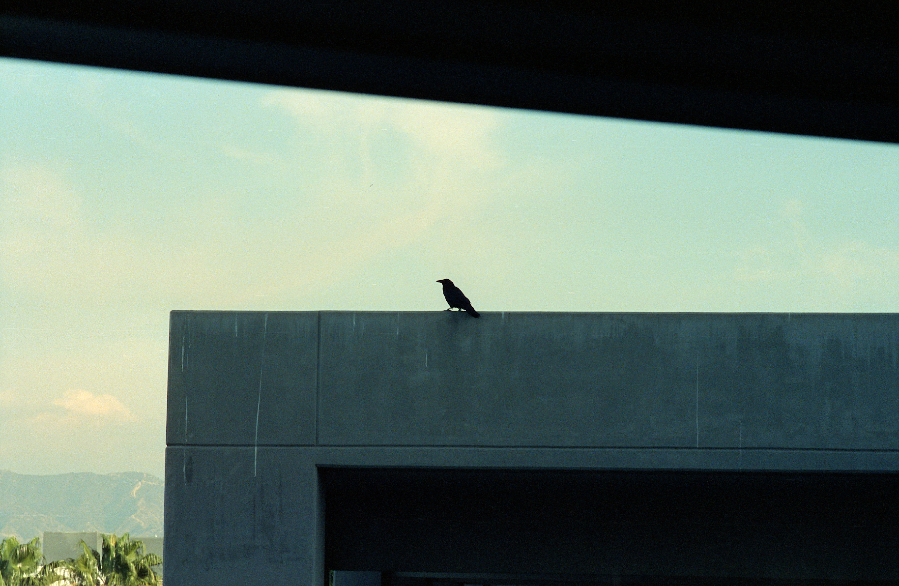 img017.png