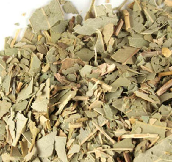 Eucalyptus