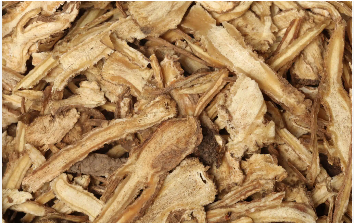 Angelica Root