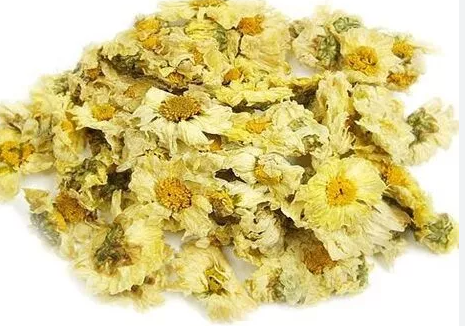 Chrysanthemum