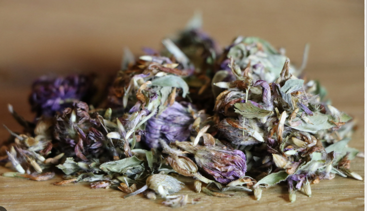 Red Clover Tops