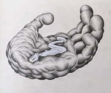 Screenshot 2025-11-30 at 11.59.43 AM.png