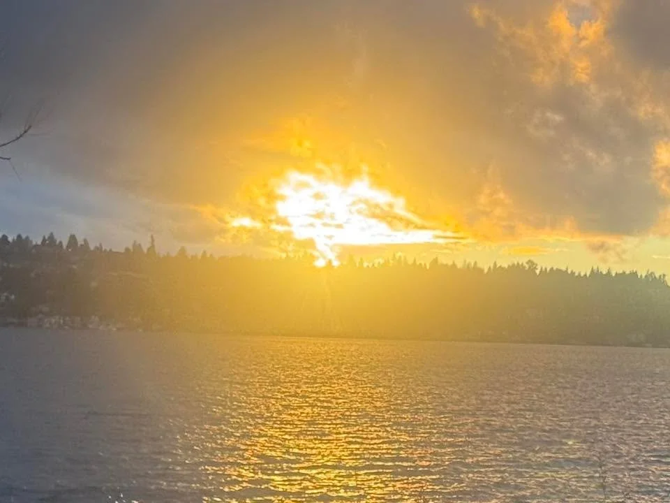 this afternoon ❤️ walk
enjoying the beauty of the PNW!!