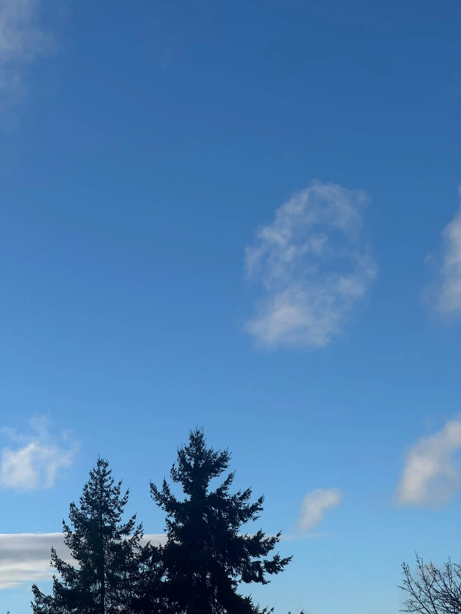 Beautiful blue skies enhance the Pacific Northwest, wishing your Christmas Eve with loved ones brings joy, love, and togetherness.