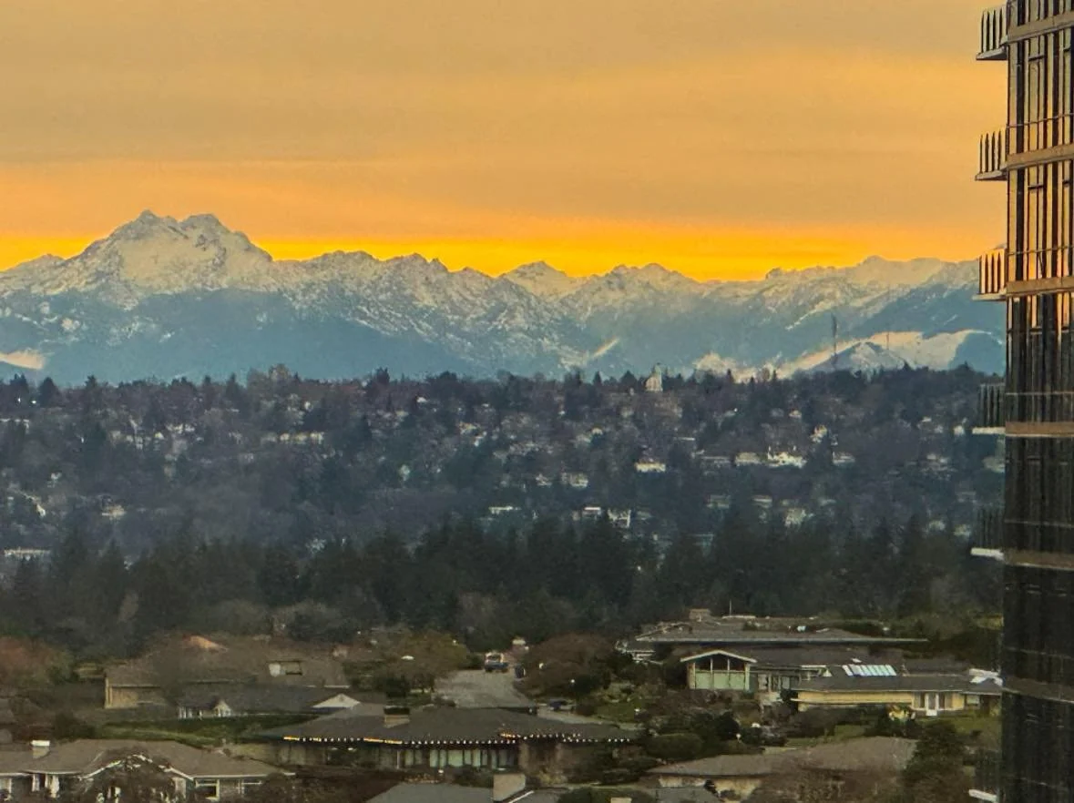 Look at those breathtaking mountains from our office window, another day in beautiful PNW