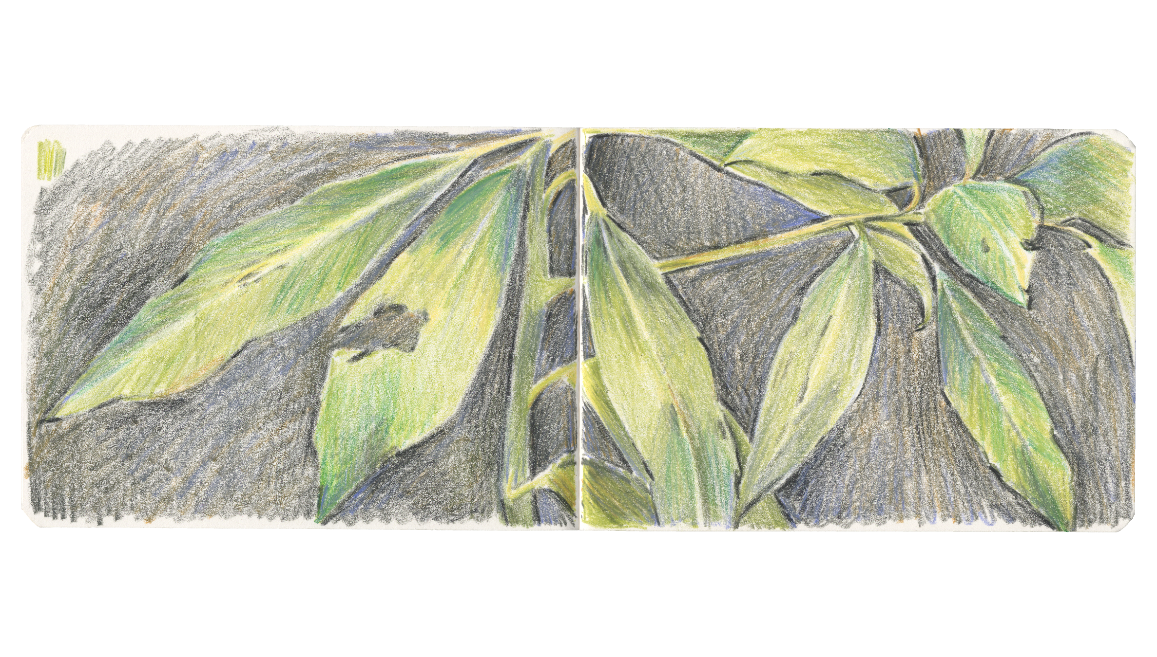 sketchbook spread ; pages de carnet, pastels à la cire, illustratrice française