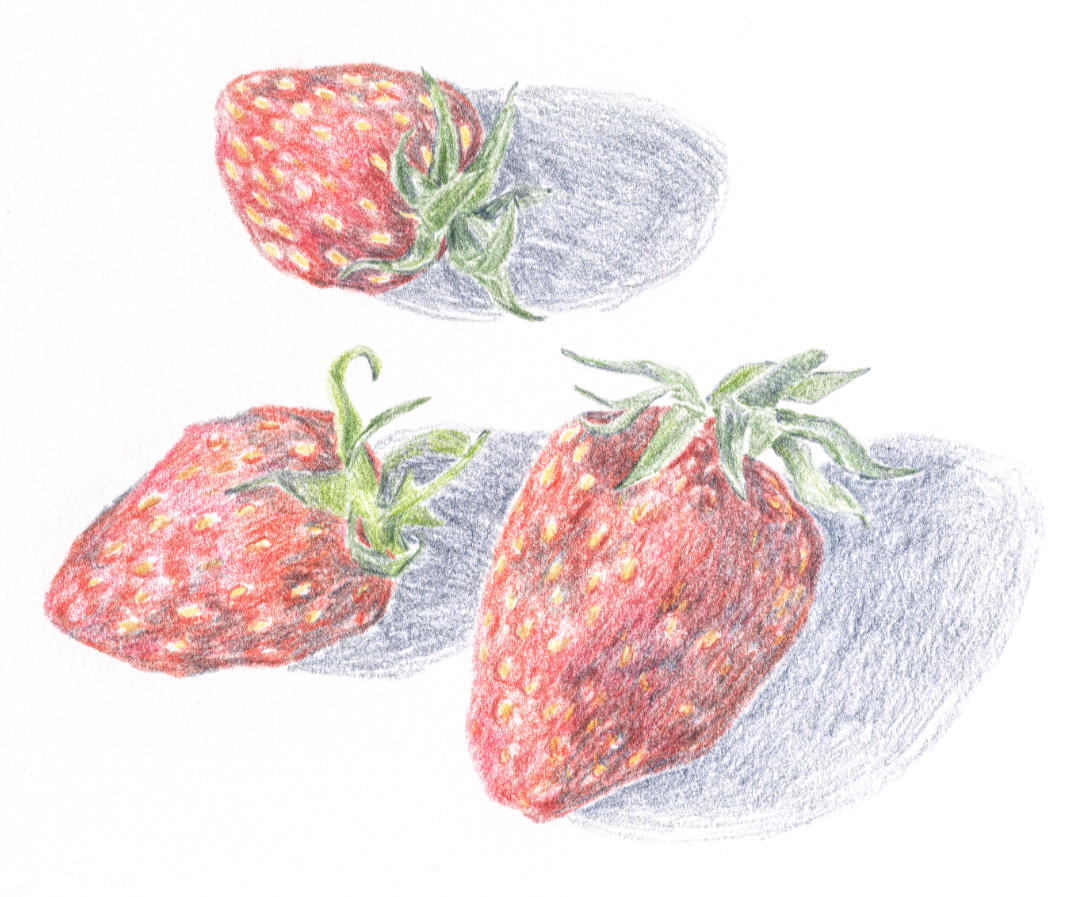Fraises+2.png