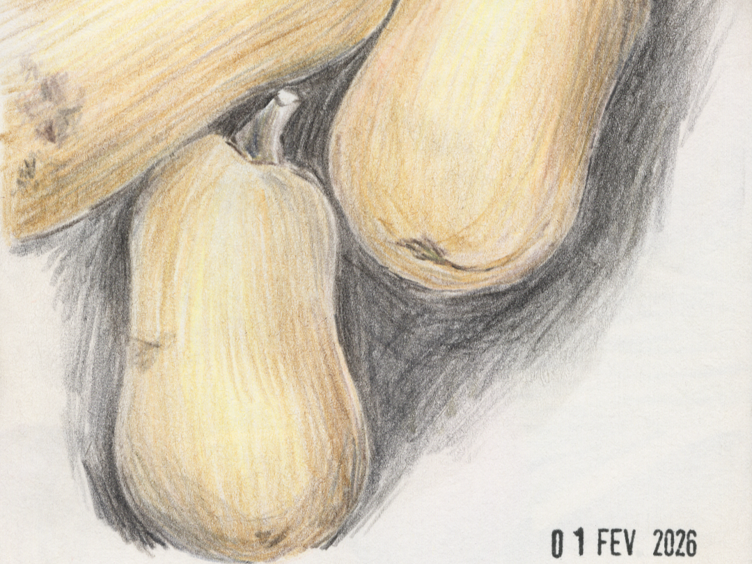 BUTTERNUT.png