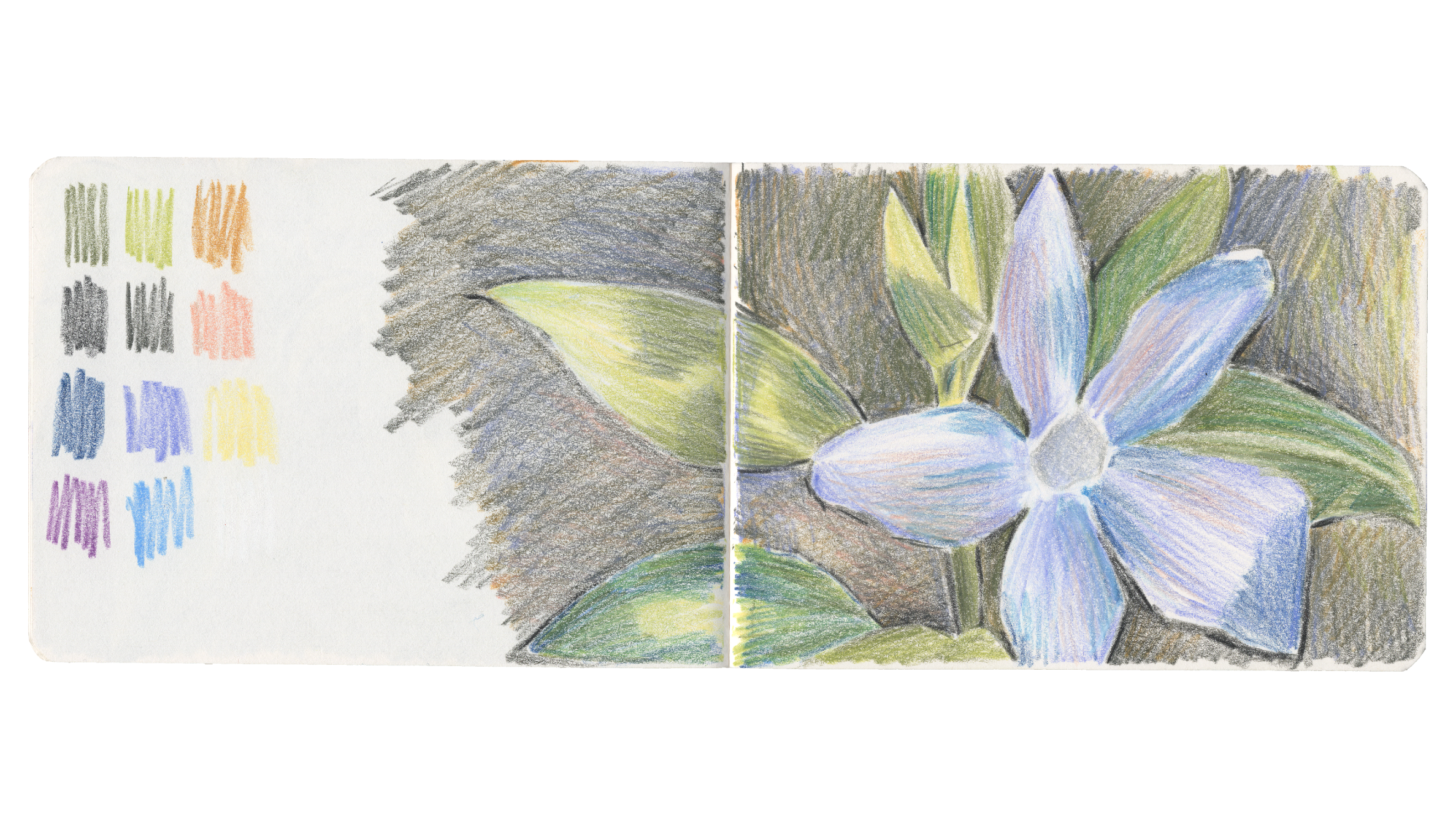 sketchbook spread ; pages de carnet, pastels à la cire, illustratrice française
