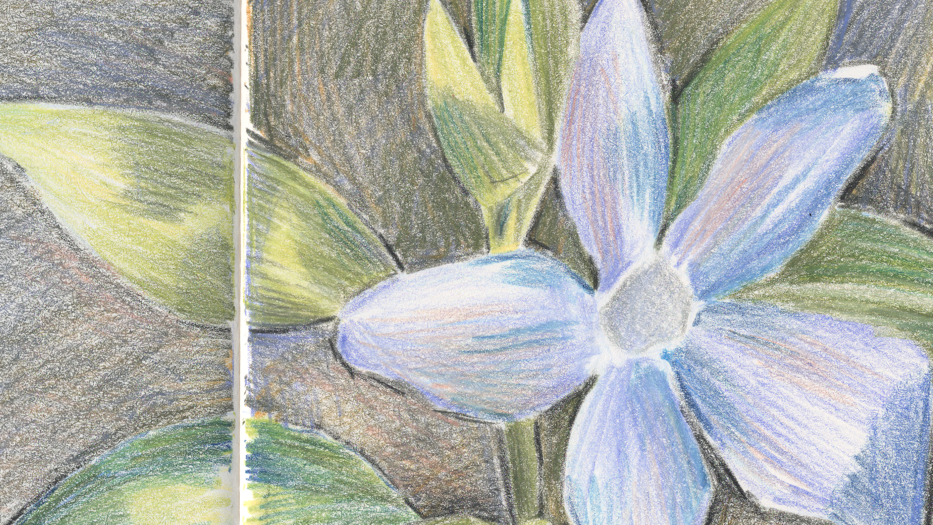 carnet : pastels à la cire