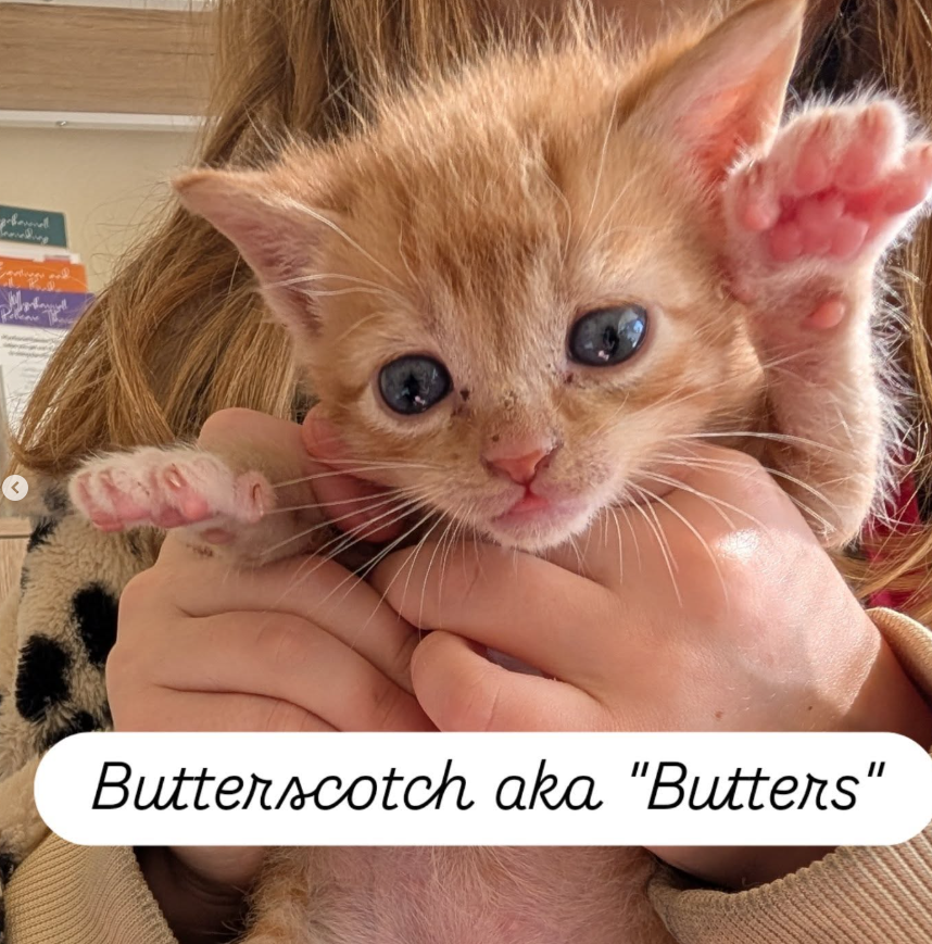 butters.png