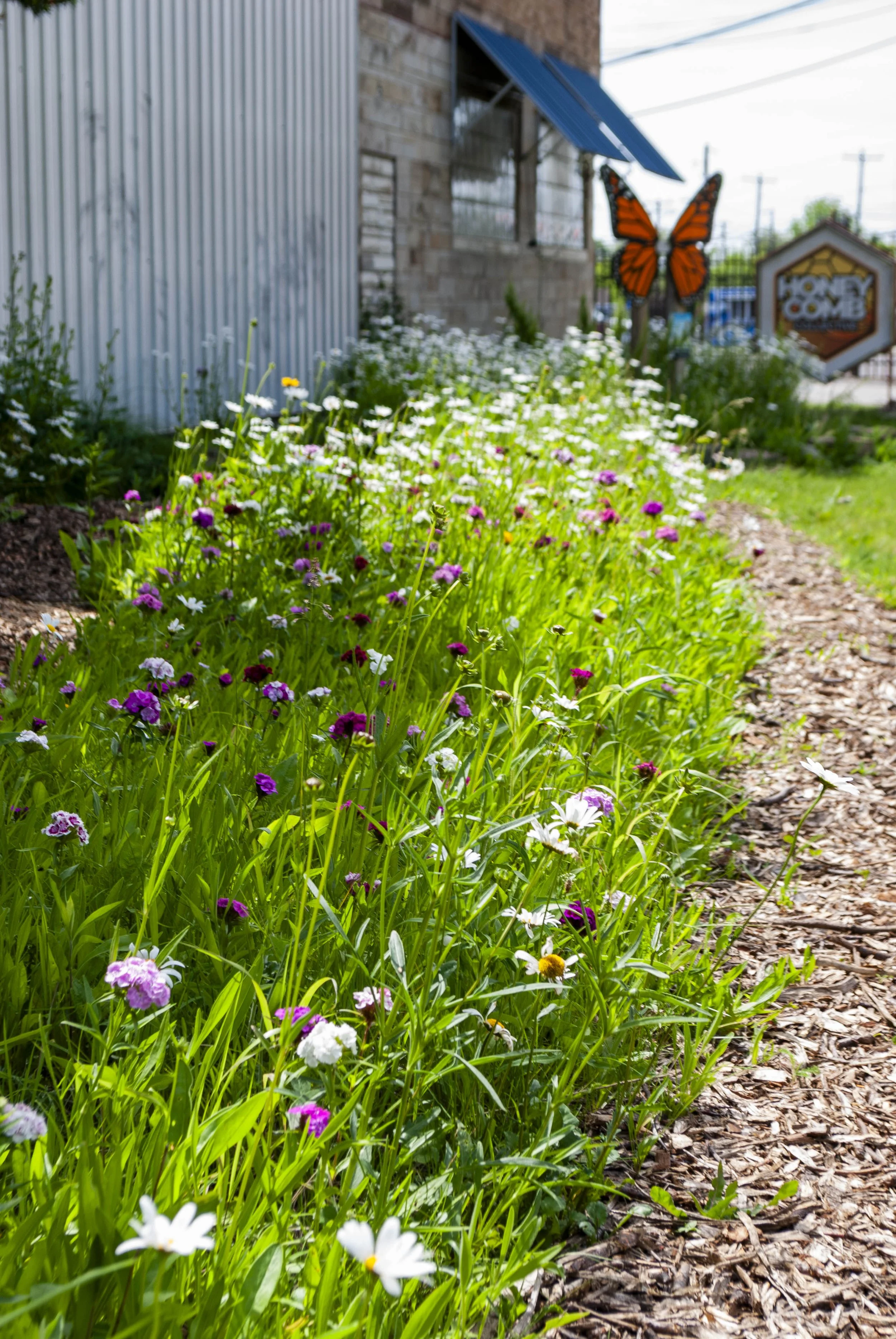 Honeycomb_Pollinator Garden_FB-12.jpg