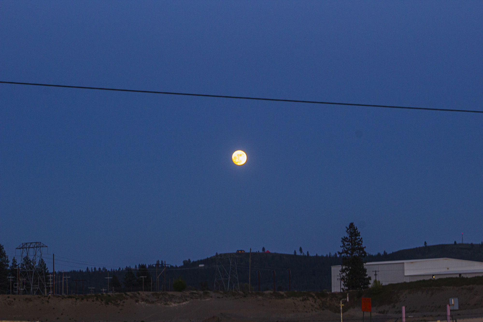 the moom-20 copy.png