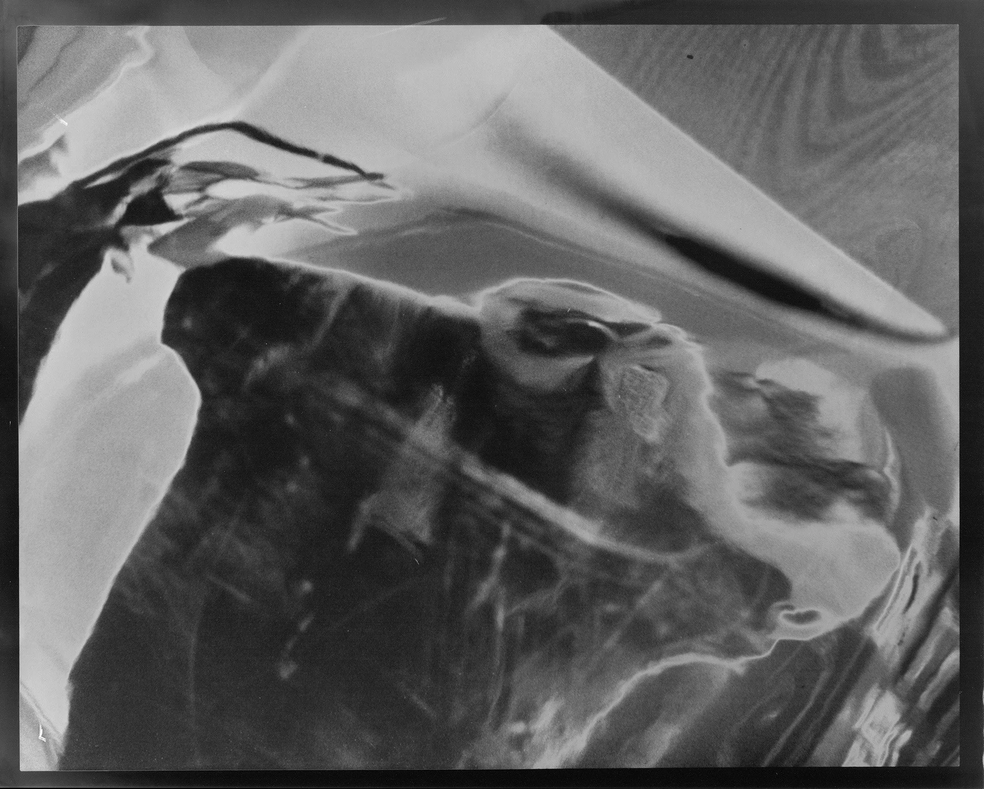 solarized 1 web.jpg