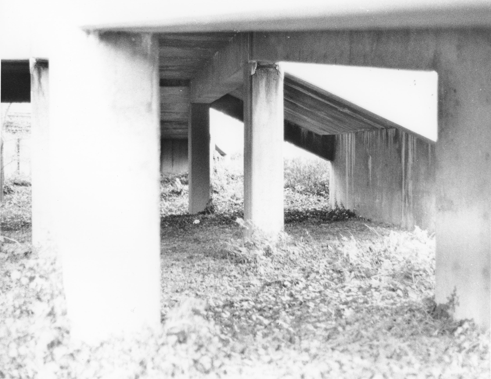 concrete web.png