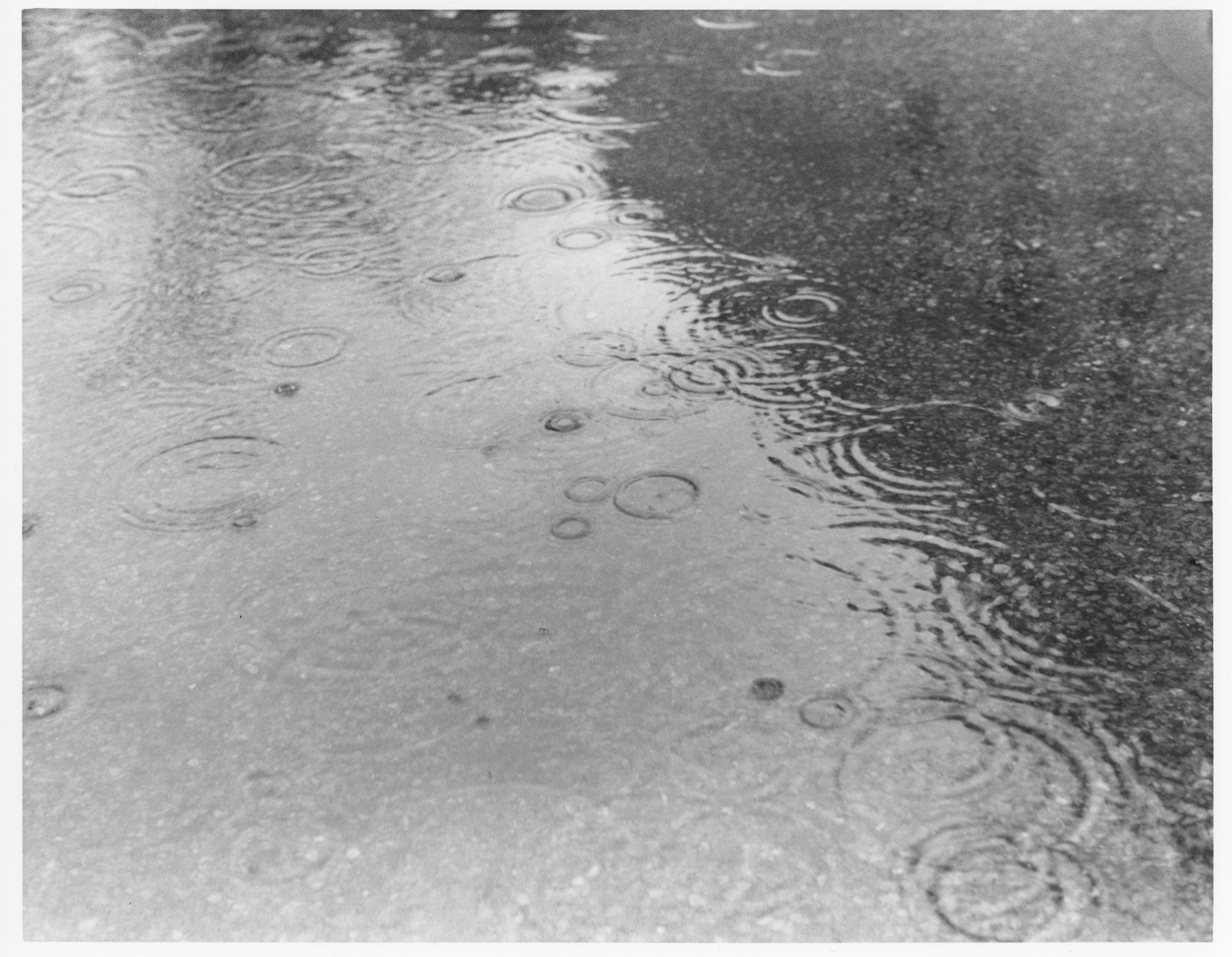 rain 2 web.png
