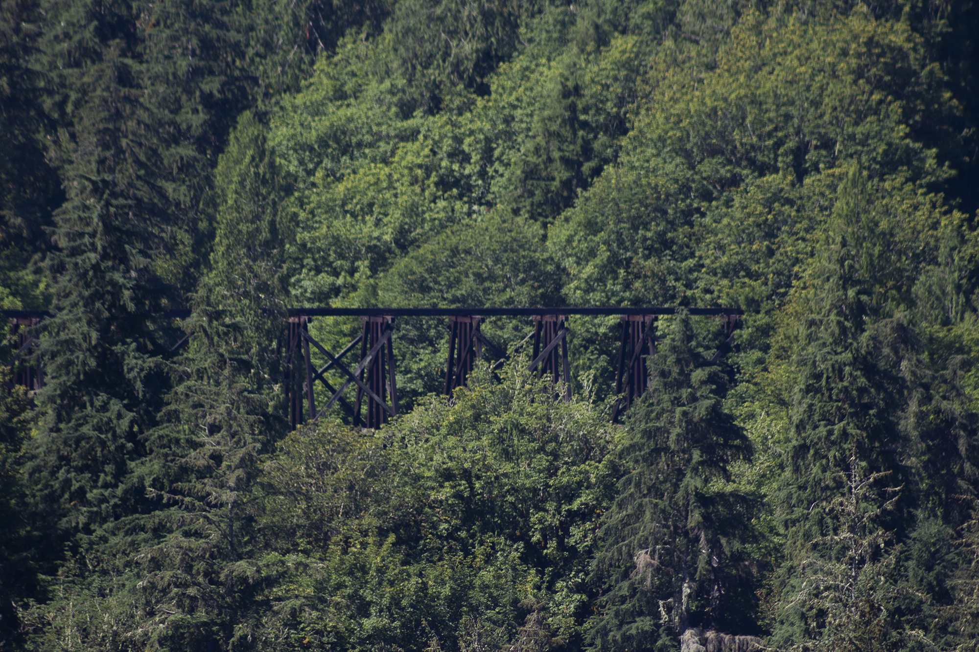train bridge.png