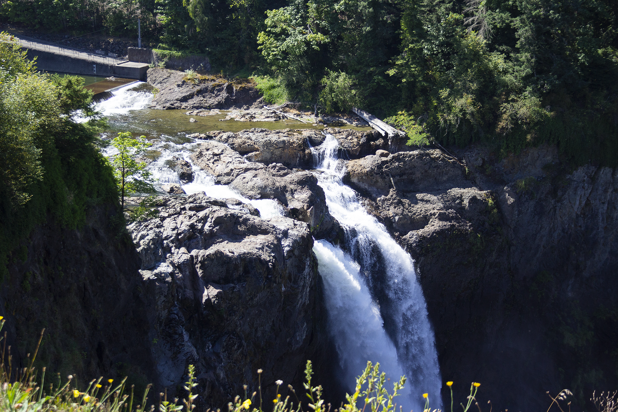 waterfall 4.png