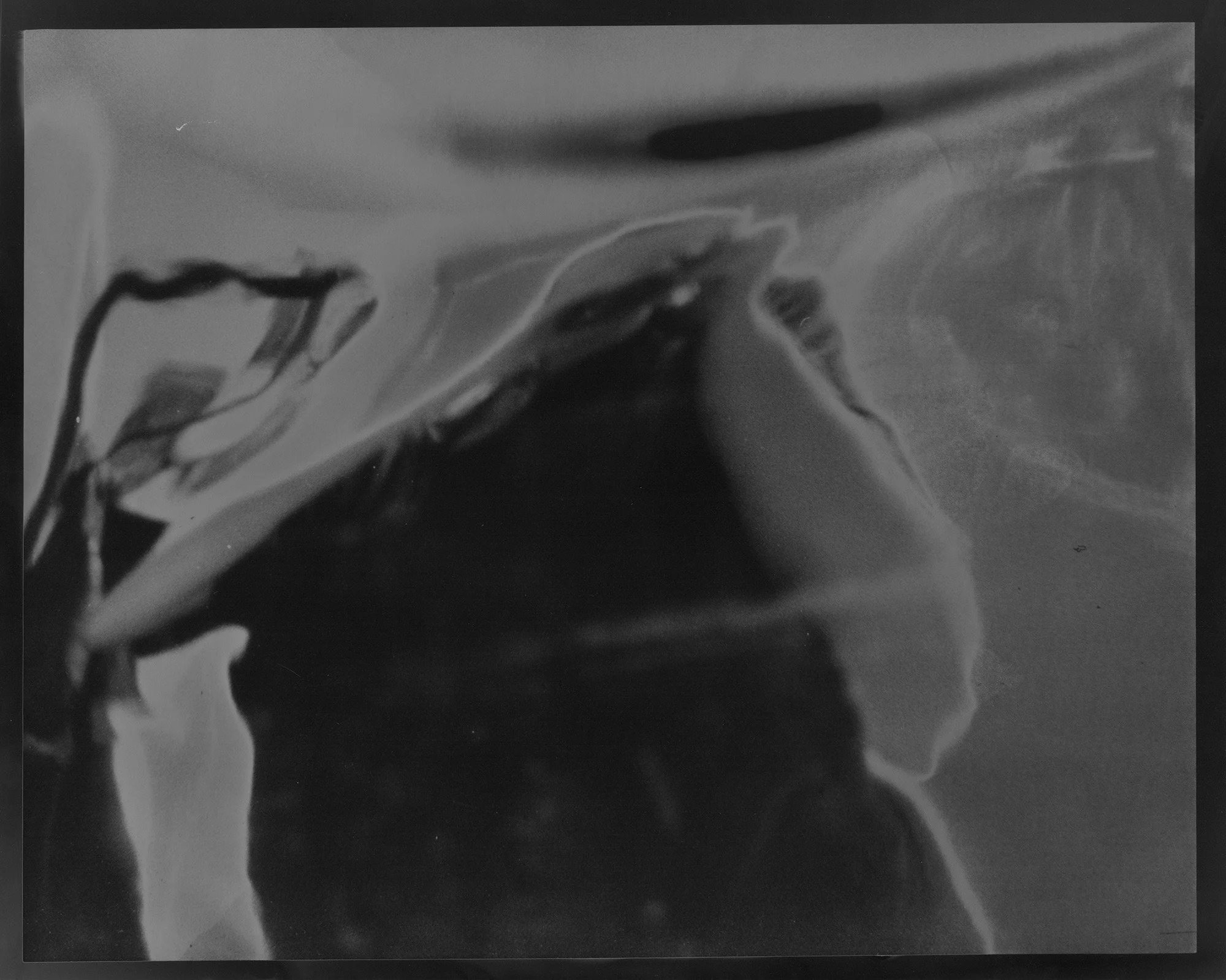 solarized 7 web.jpg